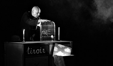 La Tarentule - Spectacles invit&eacute;s - M&eacute;moire de la Nuit